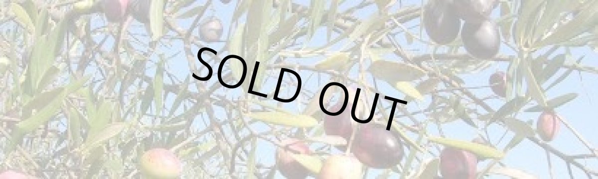 画像9: プロヴァンスハーブ入り　グリーンオリーヴ　種抜き (9)