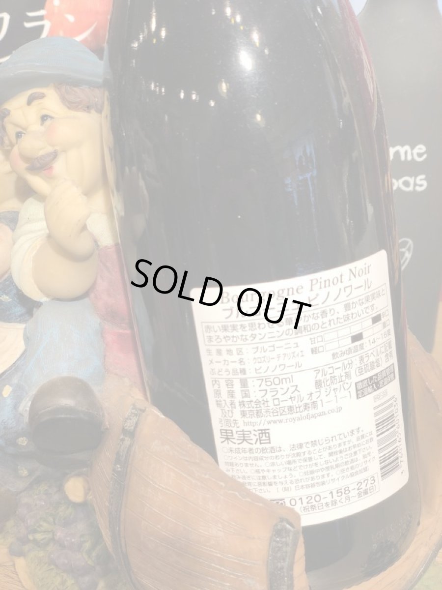 画像4: ブルゴーニュ ピノノワール赤2021 (4)