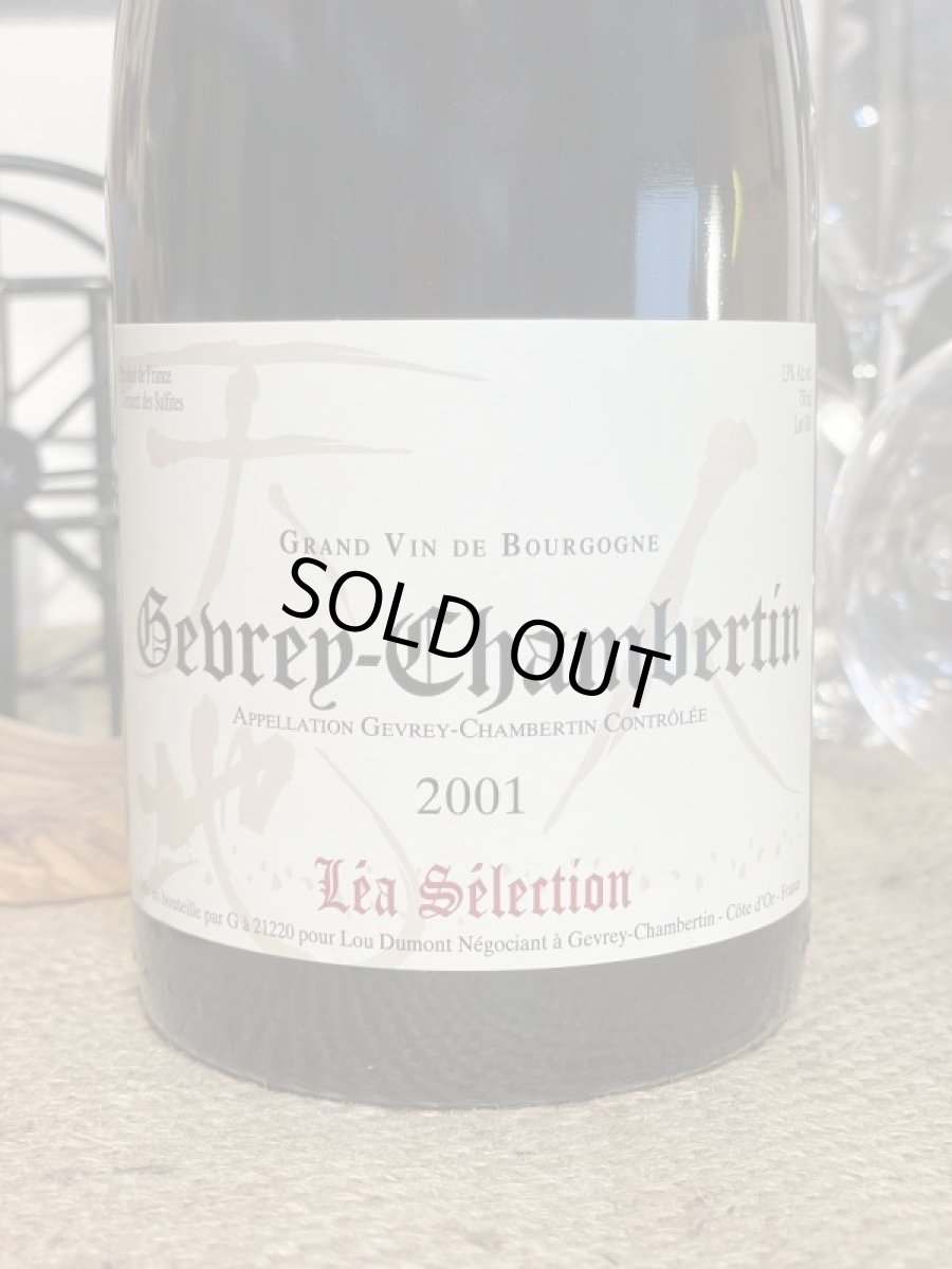 画像3: ルーデゥモン　ジュヴレシャンベルタン　2001 (3)