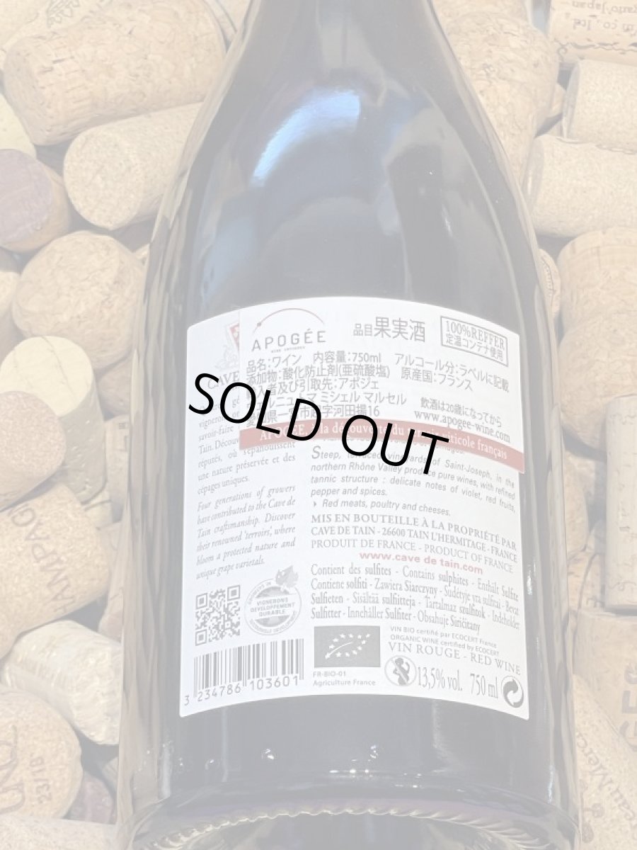 画像3: サン・ジョセフ 2018 (3)