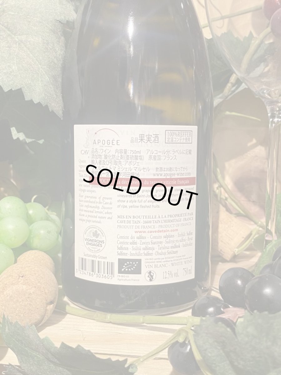 画像3: サン・ジョゼフ 2020 (3)