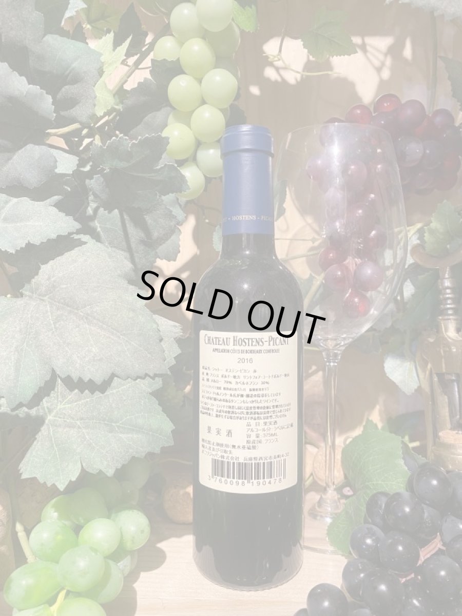 画像2: シャトー・オスタンス・ピカン　赤　2016　ハーフ (2)