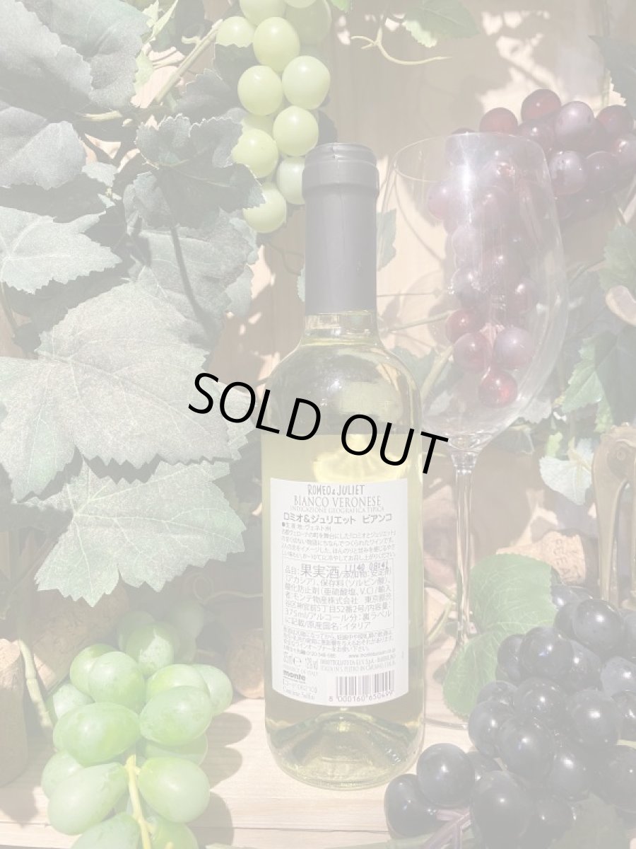 画像2: ロミオ&ジュリエット　白　2020　ハーフ (2)