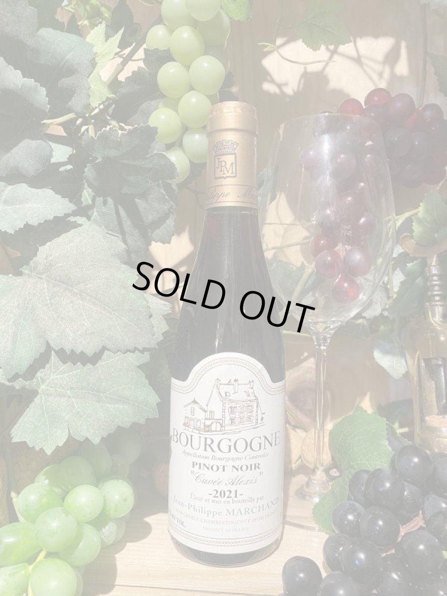 画像2: ブルゴーニュ・ピノ・ノワール キュヴェ アレクシー  赤 2021 ハーフ (2)