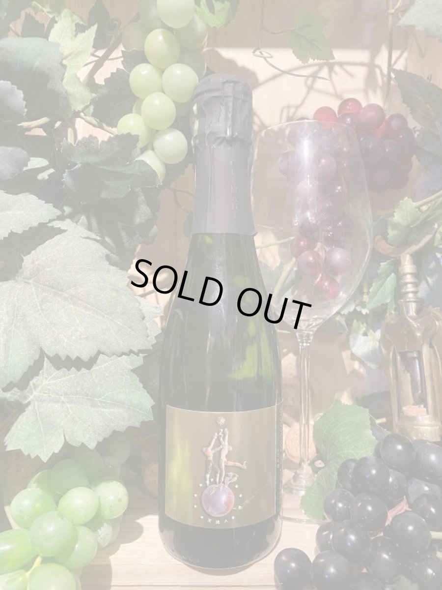 画像1: ルー・デュモン クレマン・ド・ブルゴーニュ ブリュット　白　ハーフ (1)