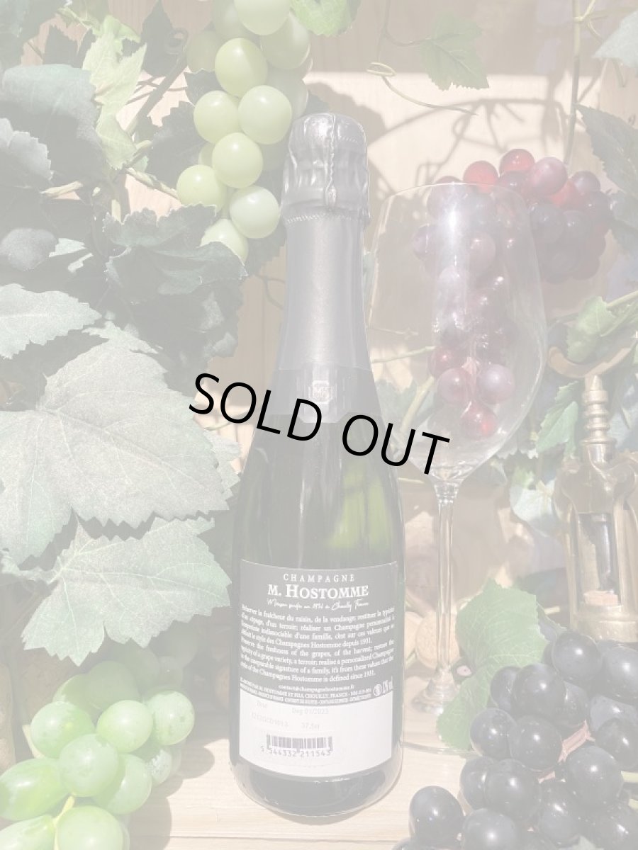 画像2: Ｍ．ホストム - オリジン・ブラン・ド・ブラン・ブリュット　白　ハーフ (2)