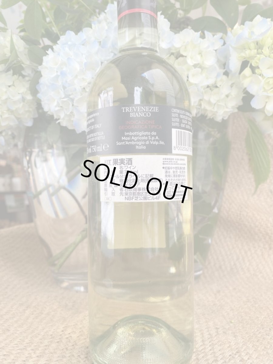 画像3: マァジ モデッロ ビアンコ デッレ ヴェネツィエ 白 2019 (3)