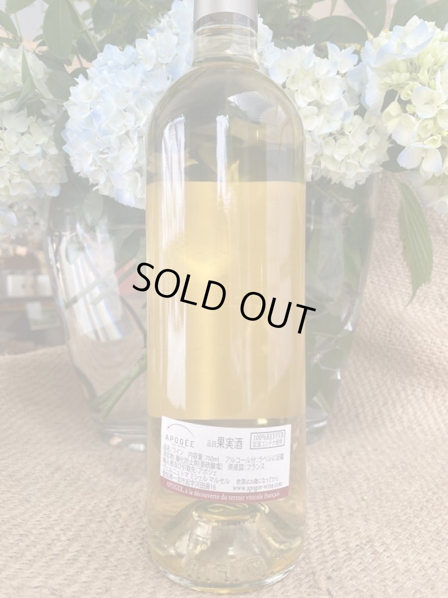 画像3: ナチュレルマン・ジョイ　ブラン・ドゥ　白　2020 (3)