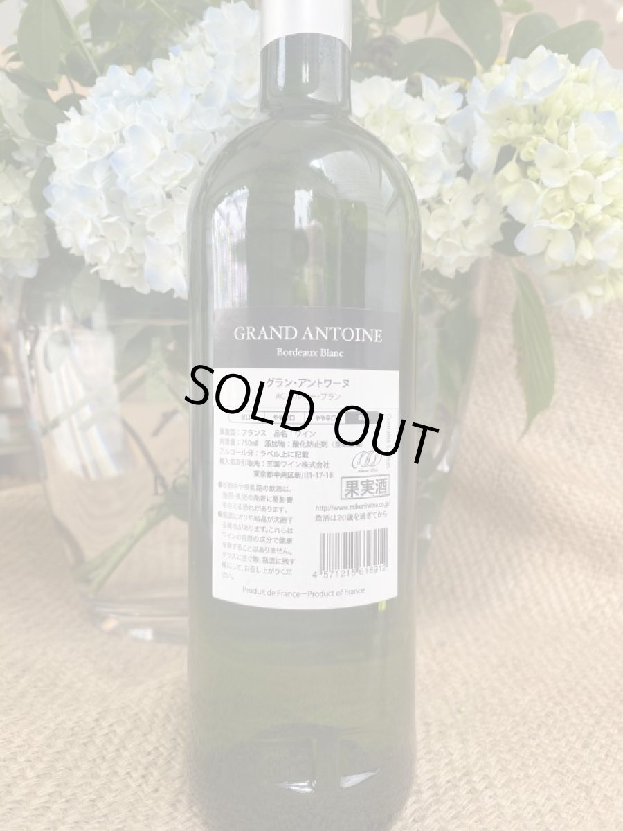画像3: グラン・アントワーヌ　白　2018 (3)