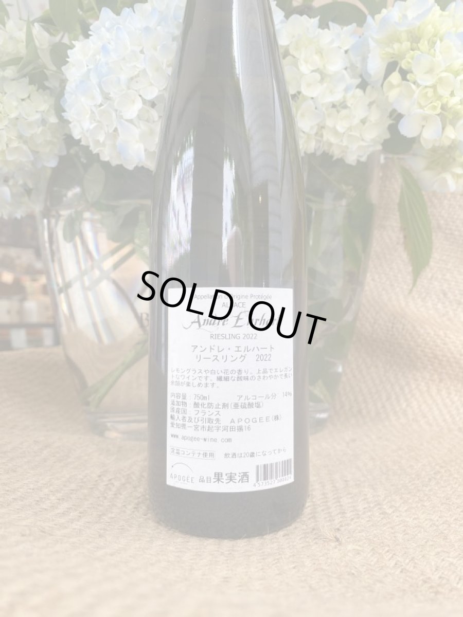 画像3: リースリング アンドレ・エルハート　白　2022 (3)