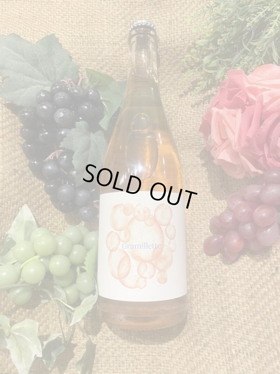 画像1: グラミエット / ドメーヌ グラミエ (1)