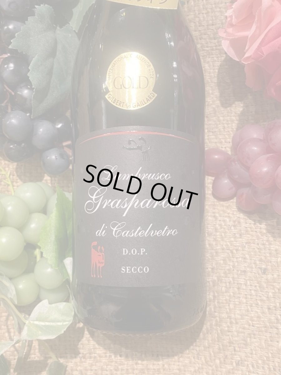 画像2: ランブルスコ セッコ カンティーナ セッテカーニ (2)