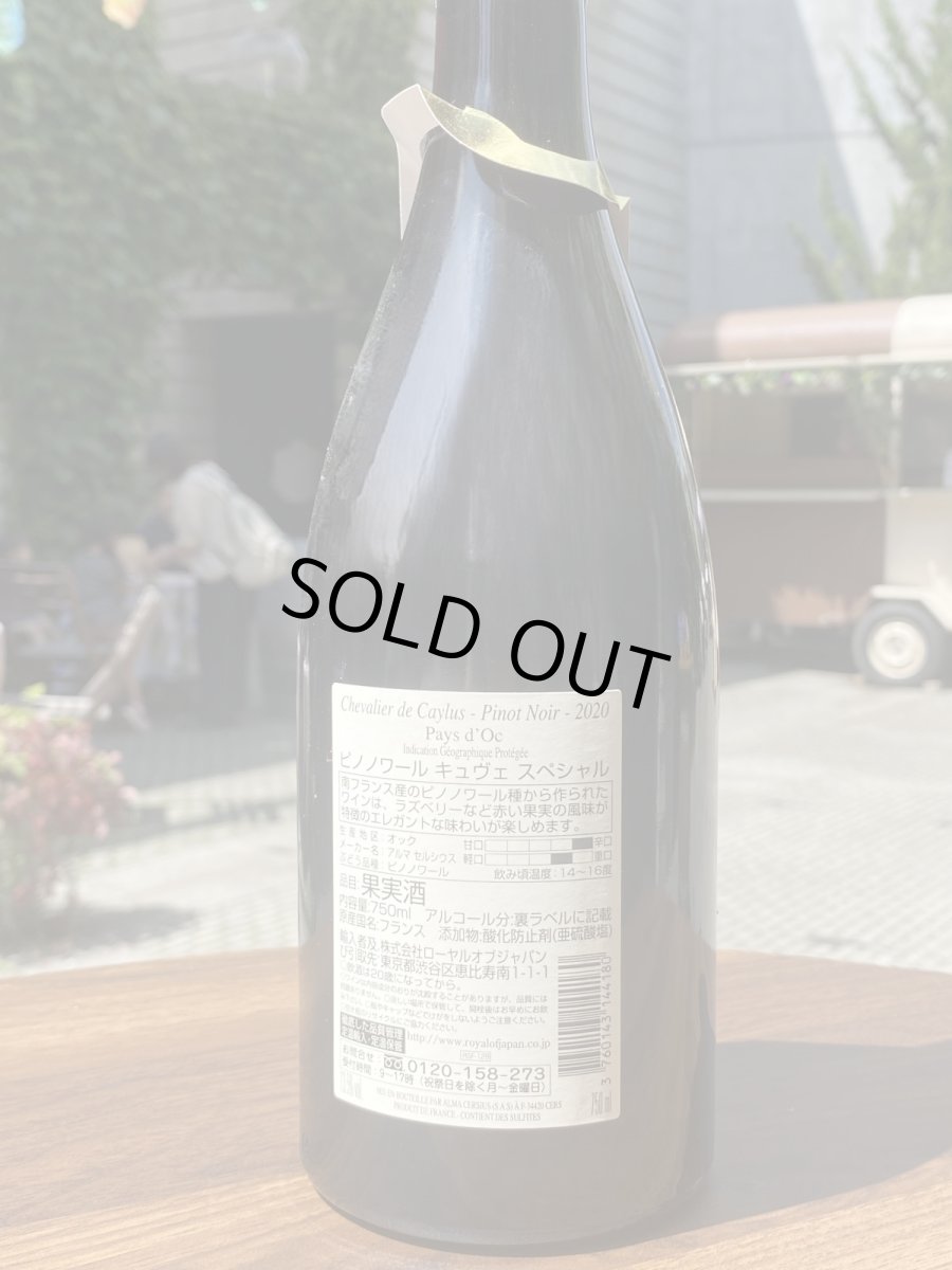 画像3: シュヴァリエ ド カイユズ ピノノワール　赤　2020 (3)