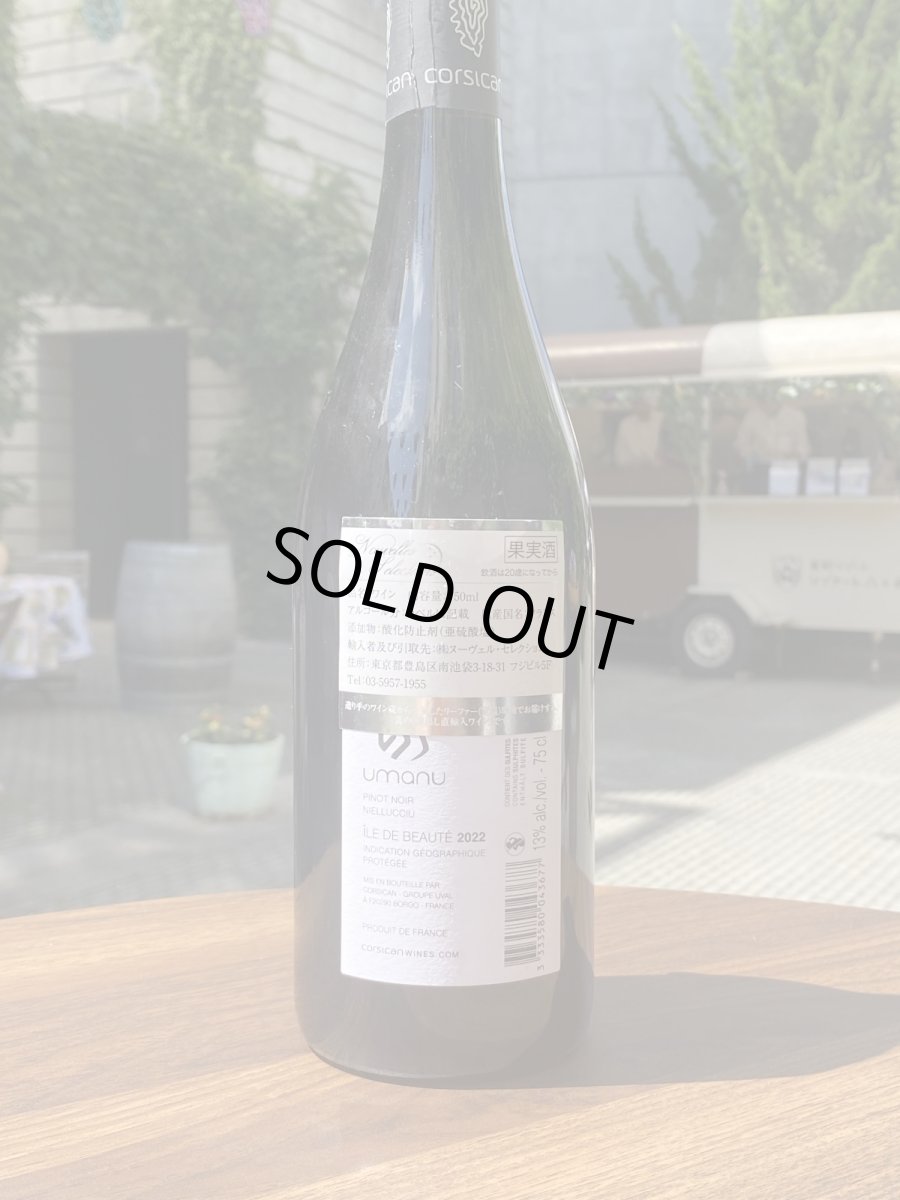 画像3: ウマヌ 　ピノノワール　赤　2022 (3)