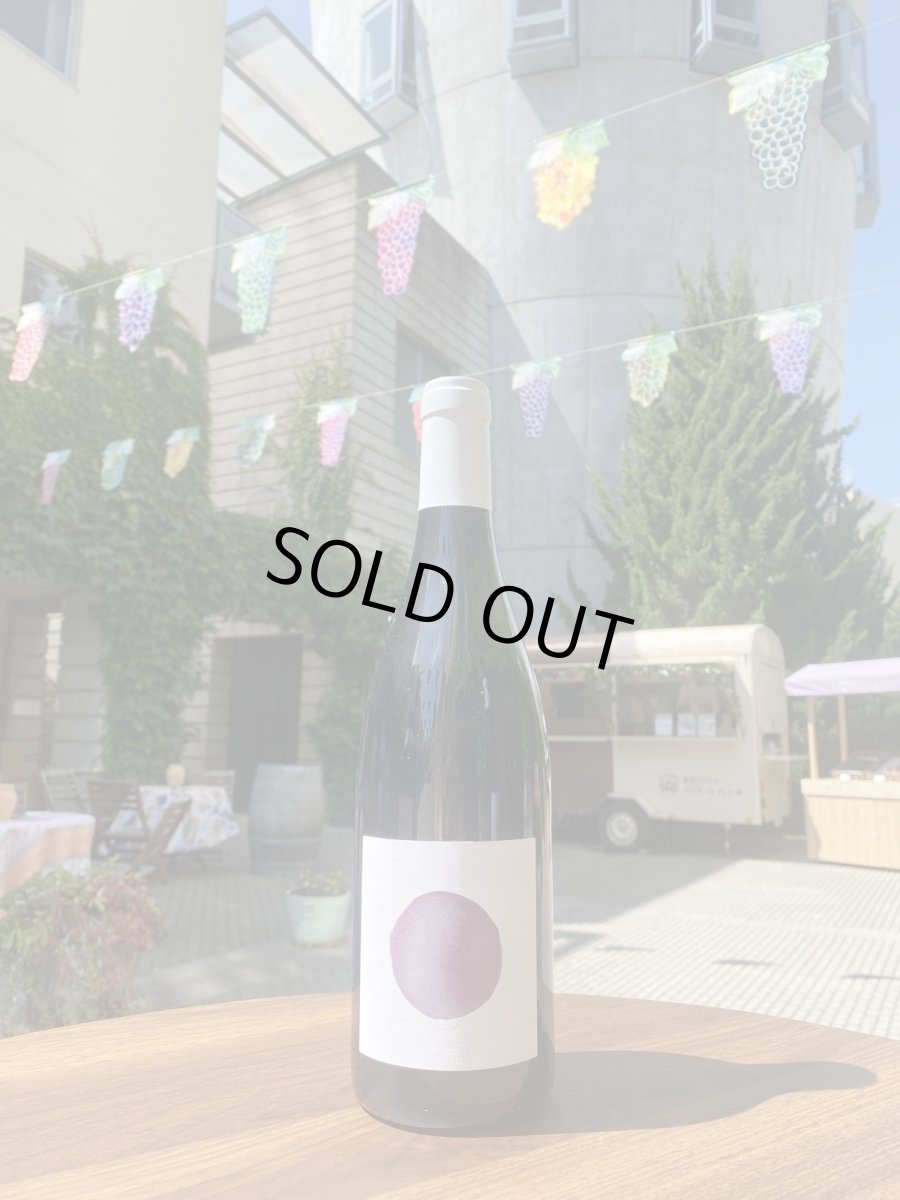 画像1: コード デュ ローヌ プリュイーヌ　赤　2021 (1)