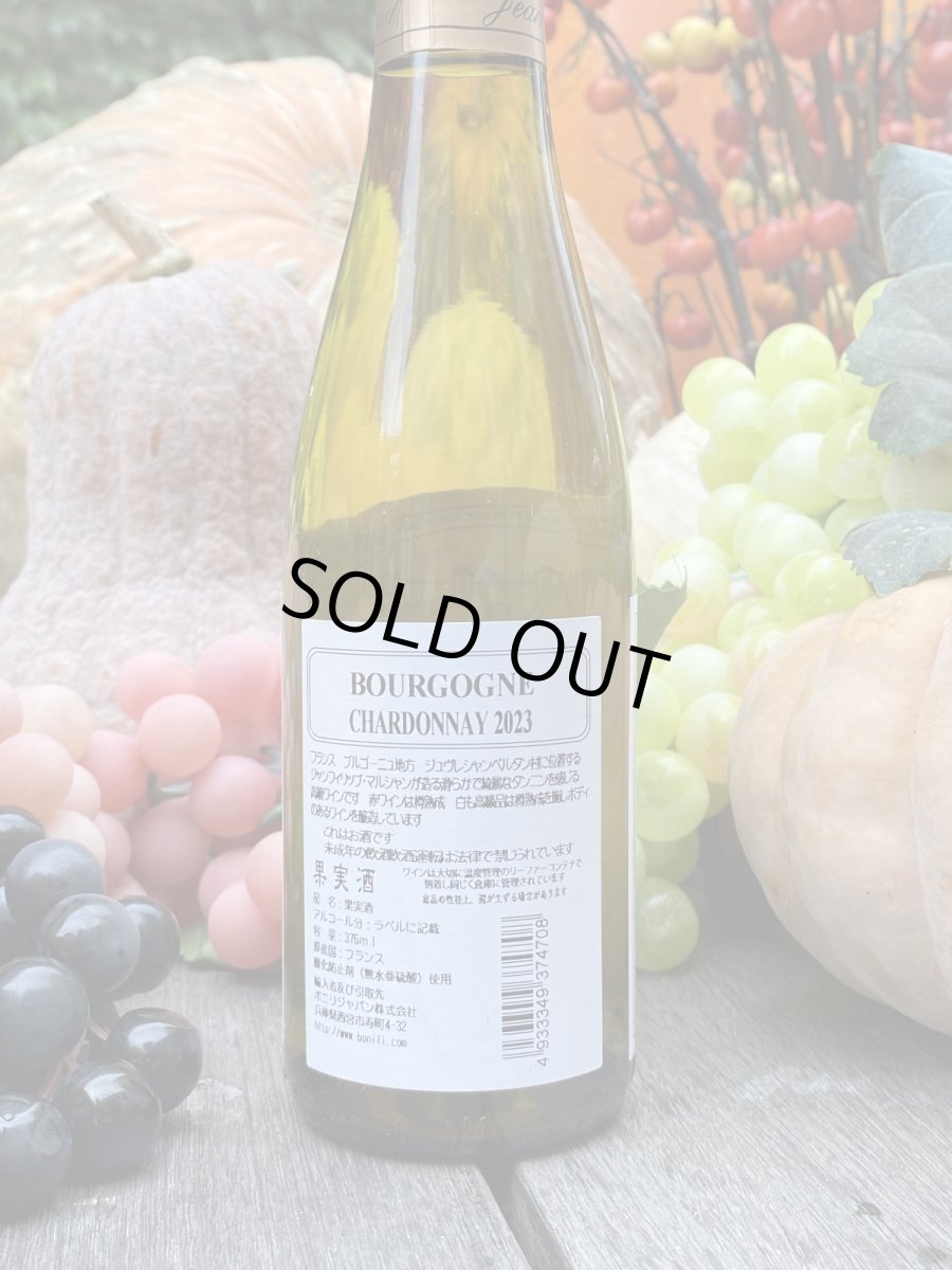 画像2: ジャン・フィリップ・マルシャン シャルドネ　白　2023　ハーフ (2)