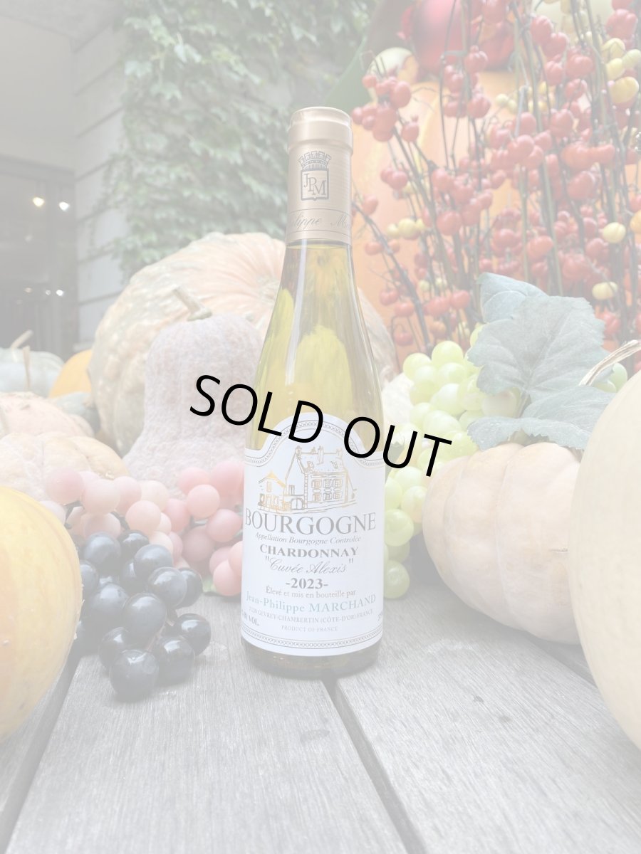 画像1: ジャン・フィリップ・マルシャン シャルドネ　白　2023　ハーフ (1)