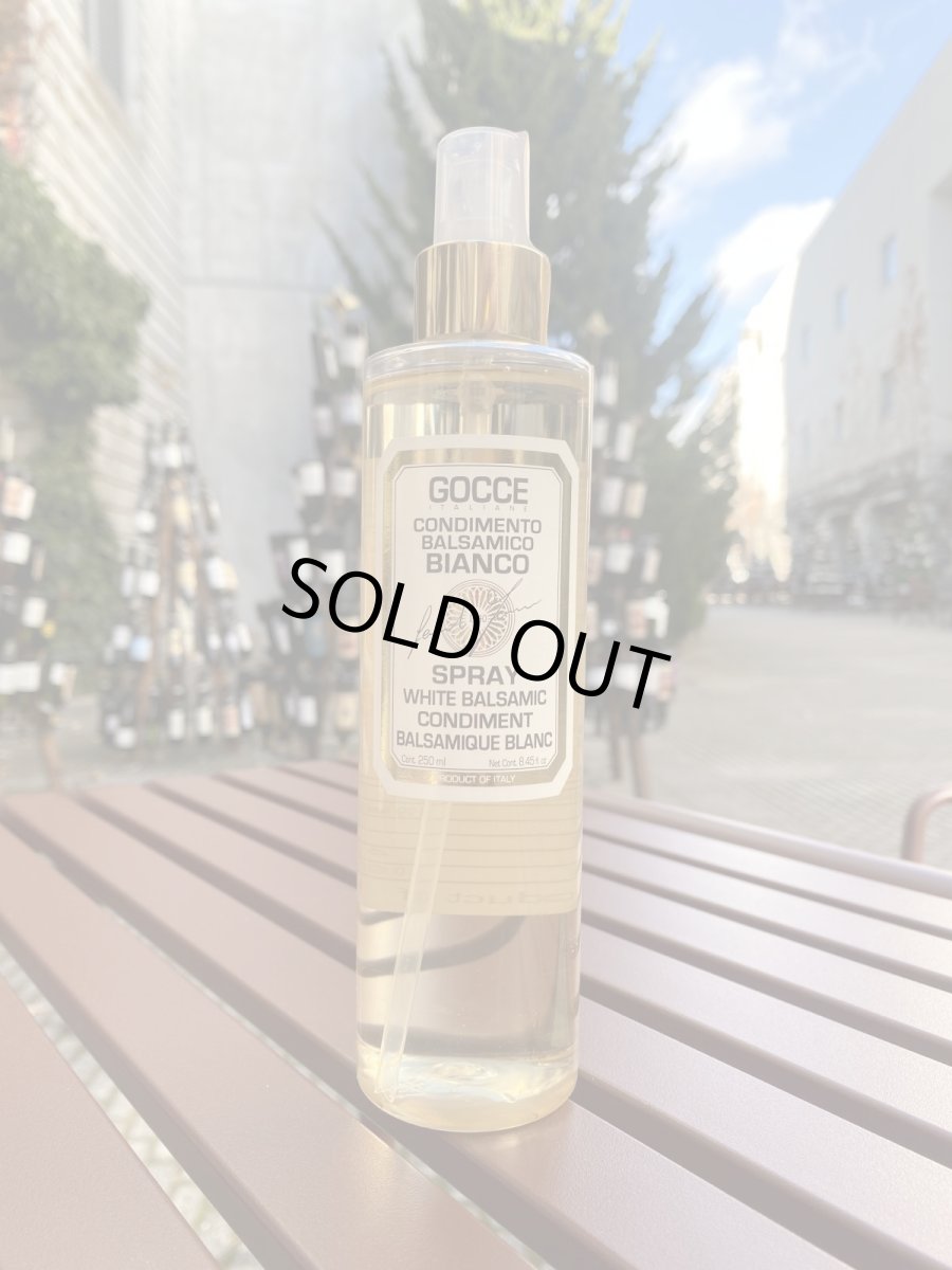 画像1: ゴッチェ イタリアーネ ホワイトバルサミコ・スプレー(5年熟成) (1)