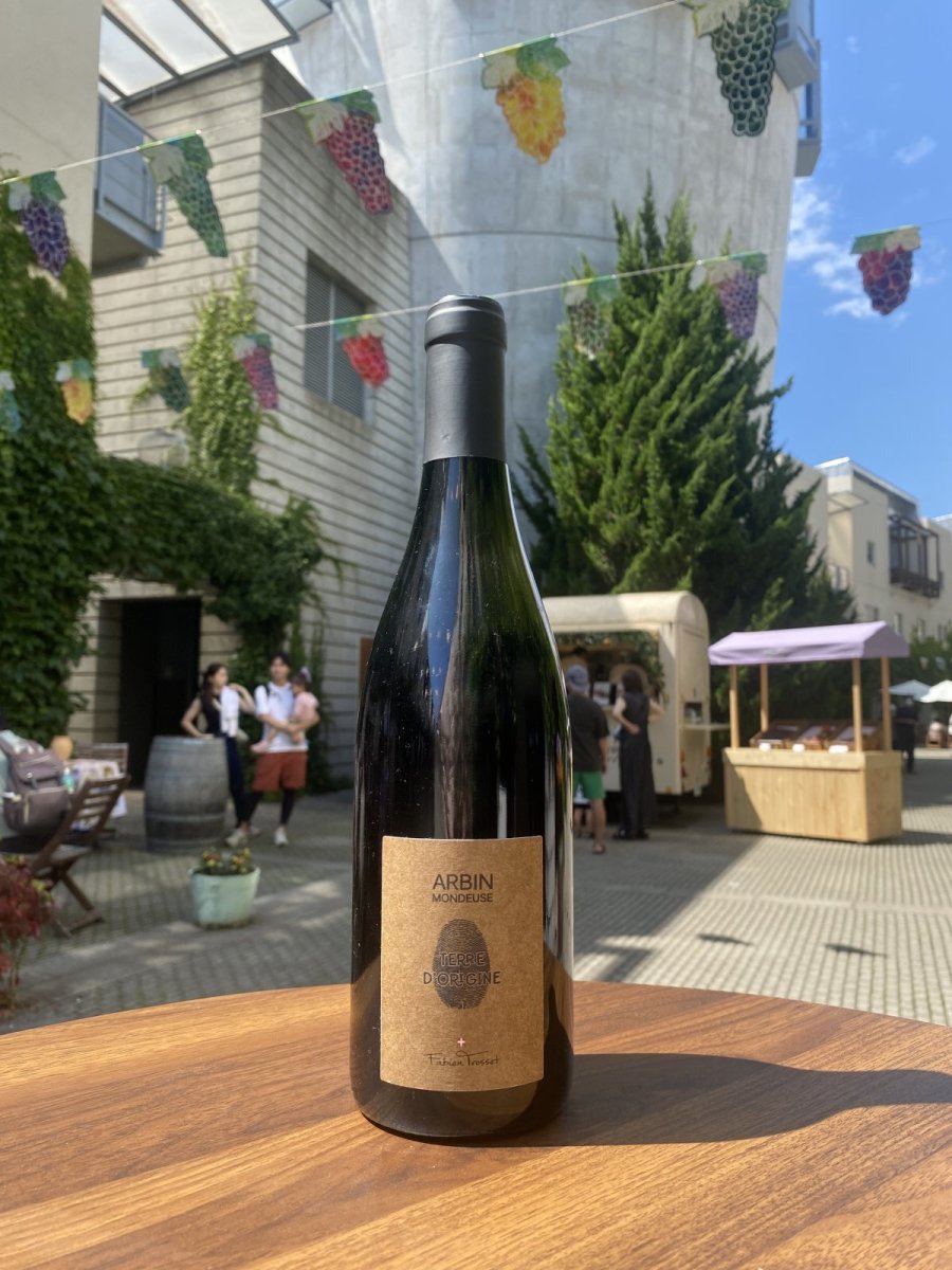 画像1: ファビアン トロセ アルバン モンドゥーズ テール ドリジン　赤　2021 (1)