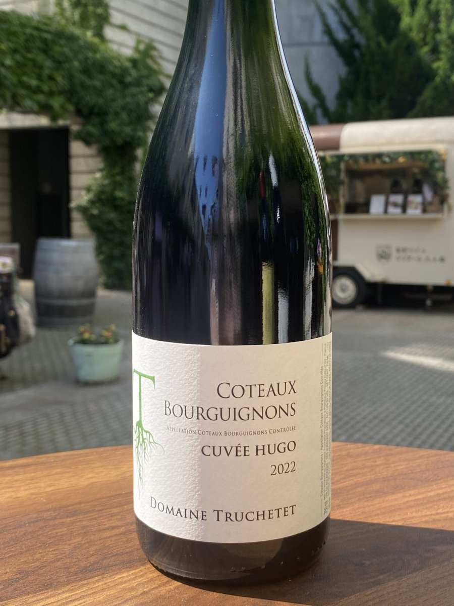 画像2: ドメーヌ トルシュテ コトー ブルギニヨン キュヴェ ユゴ　赤　2022 (2)
