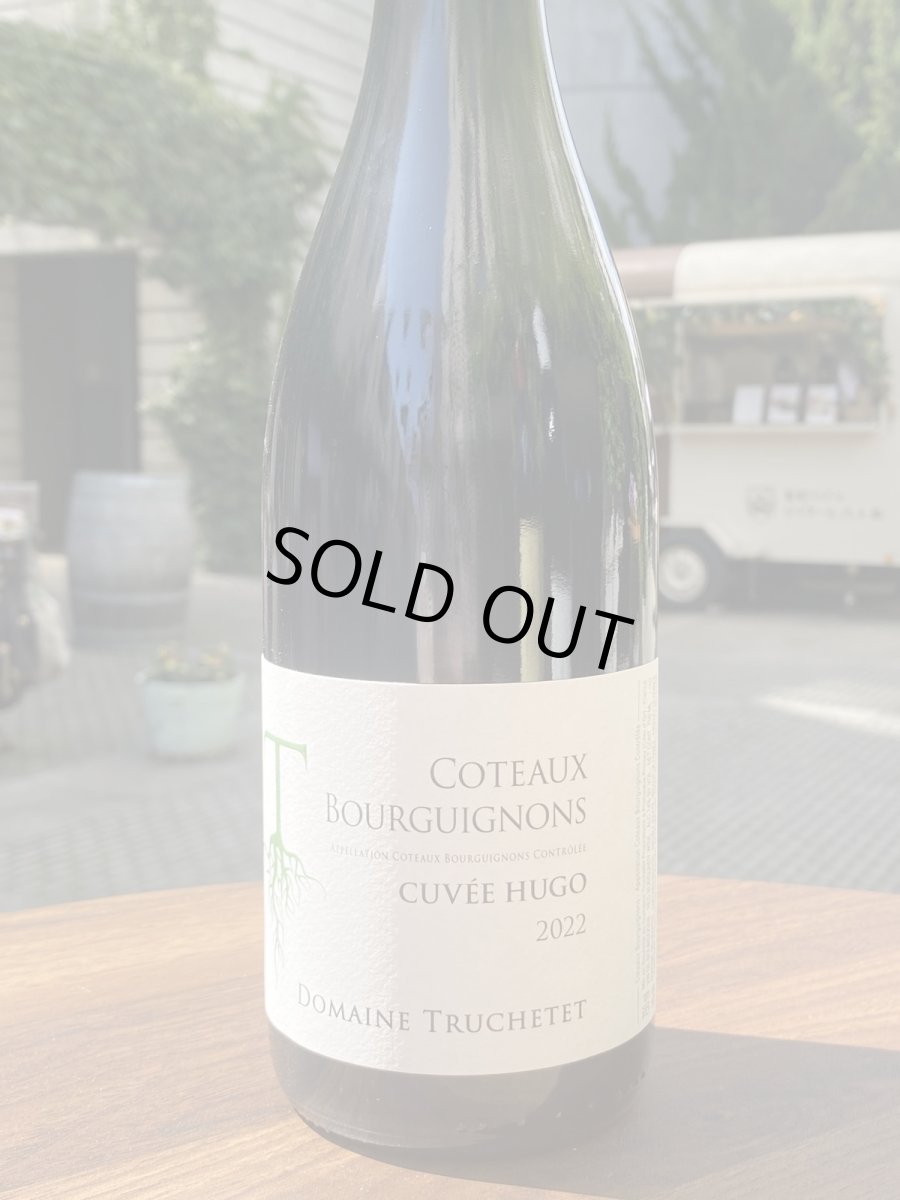 画像2: ドメーヌ トルシュテ コトー ブルギニヨン キュヴェ ユゴ　赤　2022 (2)
