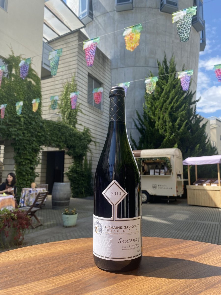 画像1: モーリス・ガヴィニェ サントネ “レ・シャルム”　赤　2014 (1)