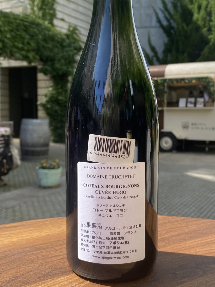 画像3: ドメーヌ トルシュテ コトー ブルギニヨン キュヴェ ユゴ　赤　2022 (3)