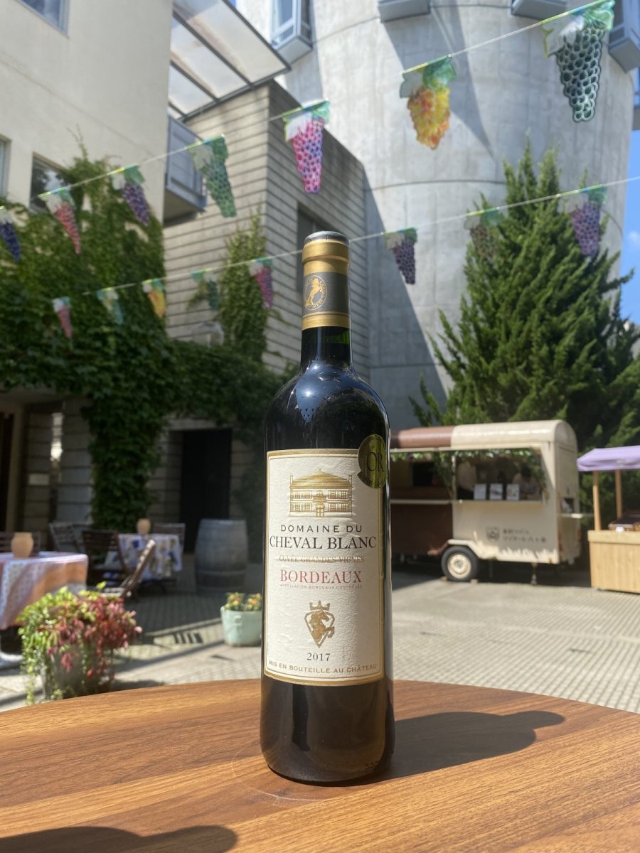画像1: ドメーヌ・デュ・シュヴァル・ブラン　赤　2017 (1)