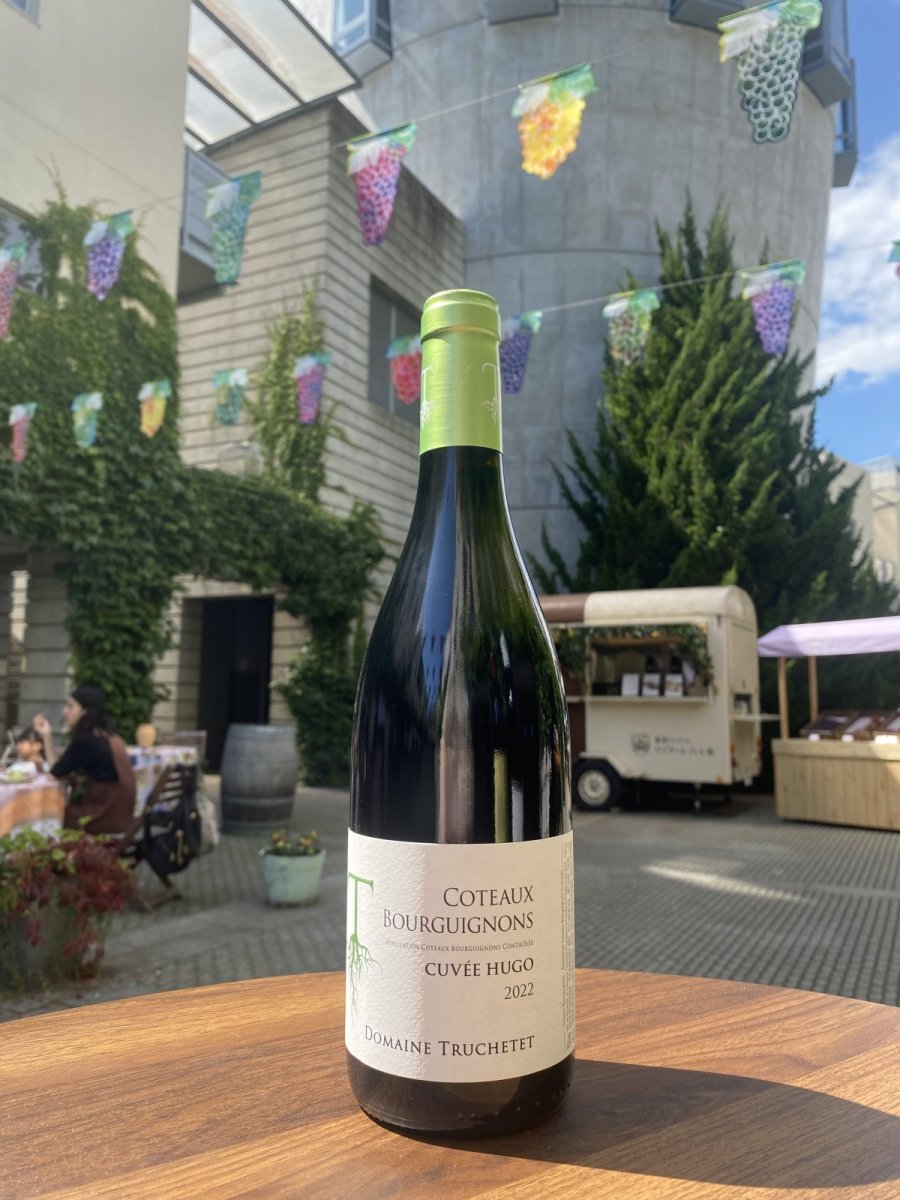 画像1: ドメーヌ トルシュテ コトー ブルギニヨン キュヴェ ユゴ　赤　2022 (1)